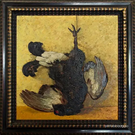 Ferrovia Calalzo di Cadore